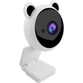 Resim Sanlindou Sevimli Panda Hd 1080 P Webcam Bilgisayar Pc Webcamera Mikrofon Kameraları İle Canlı Yayın Video Arama Konferansı Çalışması (Yurt Dışından) 