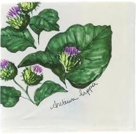 Resim Çok Renkli Kuruluma Bezi 3'lü Set, 5002832544 