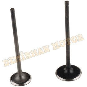 Resim Bajaj Pulsar 200NS Egzoz ve Emme Supap Takımı 