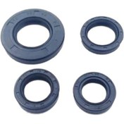 Resim Cygnus Rs 125 Motor Keçe Seti 