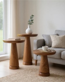 Resim ASELYA HOME Doğal Ahşap 3’lü Set Mantar Yan Sehpa Modern Fiskos Zigon Çiçeklik 