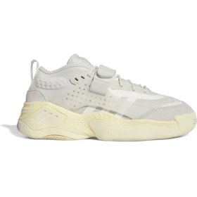 Resim adidas Streetball Iıı Erkek Günlük Ayakkabı IG6122 Bej 