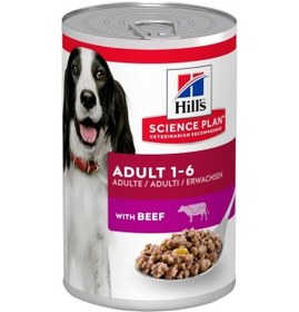 Resim Hill's Biftekli Yetişkin Köpek Konserve Maması 370 G 