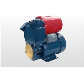 Resim Winpo Wnp 226 Sıcak Su Hidroforu 35 Mss 2,4 M³/h 220 Volt 