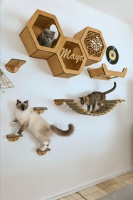 Resim Saule kedi duvar tırmalama 