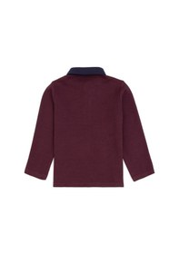 Resim U.s. Polo Assn. Erkek Çocuk Plum Sweatshirt 50315749-vr177 New Plum 