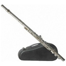 Resim Picaldi Deri Kutulu Gümüş Flüt Jyfl-2000S 