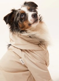 Resim Torino Köpek Yağmurluk - Bej - 1 