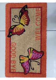 Resim Kapı Önü Kıl Paspas 32 60 Cm 