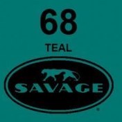 Resim Savage (U.S.A) Stüdyo Kağıt Fon Teal 271x1100 cm 