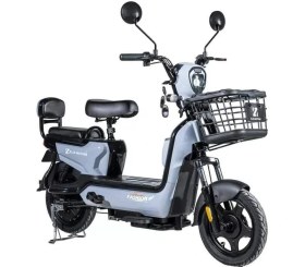 Resim Zlin Motor - Şahin 1 Elektrikli Scooter -350 Watt 
