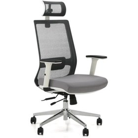 Resim Dante Yönetici Koltuk Beyaz-gri 