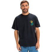 Resim Quiksilver Hw Hypnotic Wave Erkek Siyah Tişört 