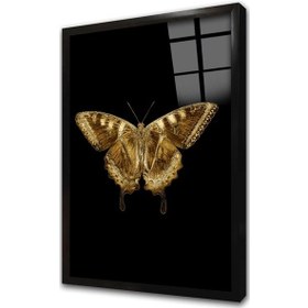 Resim Altın Kelebek Ve Soyut Üçlü Çerçeveli Cam Tablo Seti-172089 