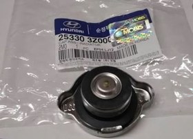 Resim Kia-Hyundai Radyatör Kapağı Orjinal | 253303Z000 