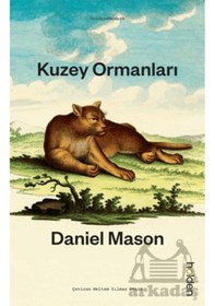 Resim Kuzey Ormanları Holden Kitap Daniel Mason 