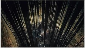 Resim NAMCO BANDAI Dark Souls Trilogy Ps4 Oyun 