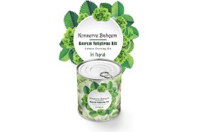 Resim Mcg® Konserve Bahçem Evde Konservede Iri Yapraklı Kıvırcık Yetiştirme Kiti 
