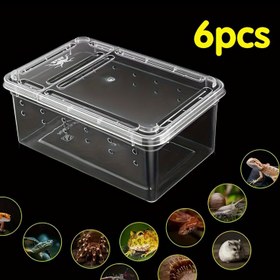 Resim 6 Adet Ultra Mini Şeffaf Akrilik Böcek Yetiştirme Kutusu - Taşınabilir Havalandırmalı Örümcek, Akrep ve Kırkayak Gözlem & Yumurtadan Çıkarma Kabı Küçük Sürüngenler ve Araklılar İçin 