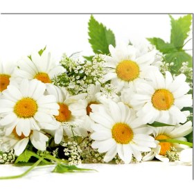 Resim Olinpa Cam Ocak Arkası Koruyucu | Papatya Desenli 