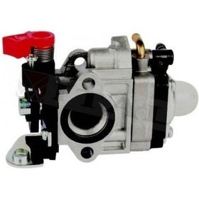 Resim Cifarelli Sc 605-800 Zeytin Hasat Makinası Karbüratör 