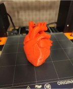 Resim shop Anatomik Kalp Modeli - 3D Baskı Eğitim ve Dekorasyon Ürünü 