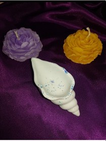 Resim Deniz Kabuğu Dekoratif Takı Kutusu 