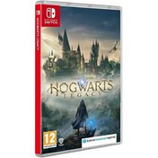 Resim Hogwarts Legacy Nintendo Switch Oyun 
