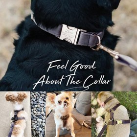 Resim Dog Collar Named Dark Gray Velvet Collar 284246 - Bag / L 