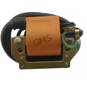 Resim Kanuni Bobin Ateşleme Zebra - Atv 