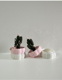 Resim Elana Design Kaktüs Tasarımlı Takı Kutusu Yüzük, Bileklik Ve Kolye Düzenleyici Dekoratif Saklama Kutusu Mermer-pembe 