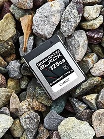 Resim DELKIN Cihazlar 325GB Siyah CFEXPRESS Tip B Hafıza Kartı 