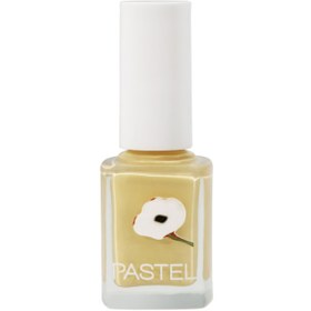 Resim Pastel Oje No: 411 