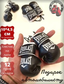 Resim Dom Cporta Cuvenir Boks Eldivenleri Arabada 333562673 