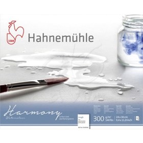 Resim Hahnemühle Harmony Sulu Boya Blok 300G 12 Yp Rough Grain 24X30 