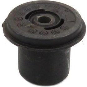 Resim Torsiyon Burcu Albea 1996 82491064 46849399 