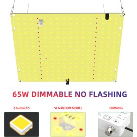 Resim 65W Ayarlanabilir LED Yetiştirme Işığı, 2.6umol Tam Spektrum, 91.44x91.44cm Yüksek Kapsama Alanı, Sebzeler ve Çiçekler İçin, Parlatılmış Bitiş, Avrupa Standart Fiş, Bahçe Işığı Kaynağı 