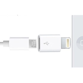 Resim Ally Ligtining Dönüştürücü Micro Usb Adaptor 