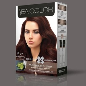 Resim Sea Color Set Boya 5.77 Sıcak Çikolata 