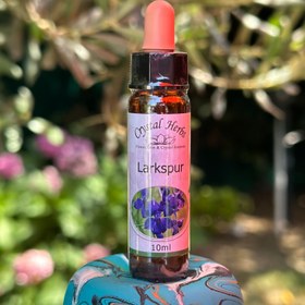 Resim LARKSPUR ( HAZERAN ÇİÇEĞİ ) 