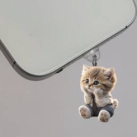 Resim 1 adet Sevimli Kedi Akrilik Toz Fişli Tip-C Bağlantı Noktası için, Koruyucu Kir Geçirmez Mobil Telefon Aksesuarı, PMMA Malzeme, Evrensel Uyumluluk 