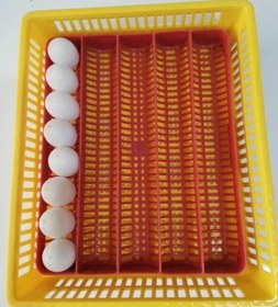 Resim Gelişim ve Çıkım Tablası Küçük 