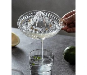 Resim Epilons Cam Limon Sıkacağı 