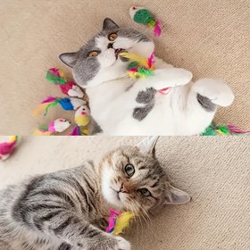 Resim Rastgele Renkli Peluş Fare Kedi Oyuncağı - 1/3/5/10 Adet 