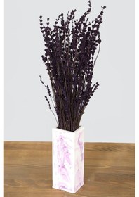 Resim Renkli Beton Vazoda Şoklanmış Lavanta Mor Mor 