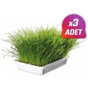 Resim 3 Adet - Trixie Yavru Ve Yetişkin Kedi Çimi (Yumuşak) 