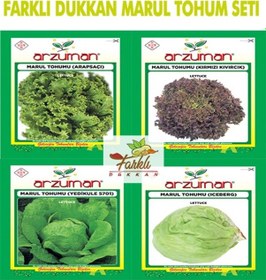 Resim Marul Tohum Seti Kıvırcık Düz Kırmızı İceberg Marul 