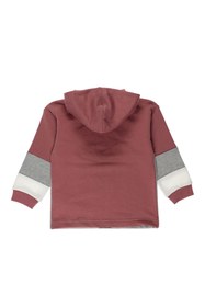 Resim Panço Erkek Bebek Yarım Fermuarlı Baskı Detaylı Gül Kurusu Sweatshirt 