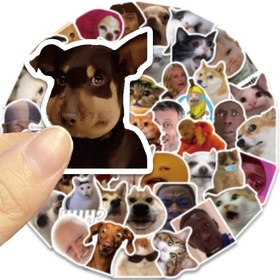 Resim 50'li Paket Meme Çıkartmaları, Karikatür Köpek Kedi Üzgün Hamster Komik Memler, Dizüstü Bilgisayar, Scrapbook, Defter, Su Şişesi, Hediye Koleksiyonu, Kendinden Yapışkanlı PVC, Parıltılı Süslemeli, Düzensiz Şekil, Mat Kaplama 