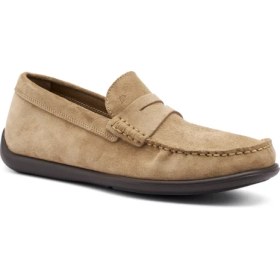 Resim Erkek Oxford ( Klasik) 14D2 Frau Castoro Avena (Beige) 